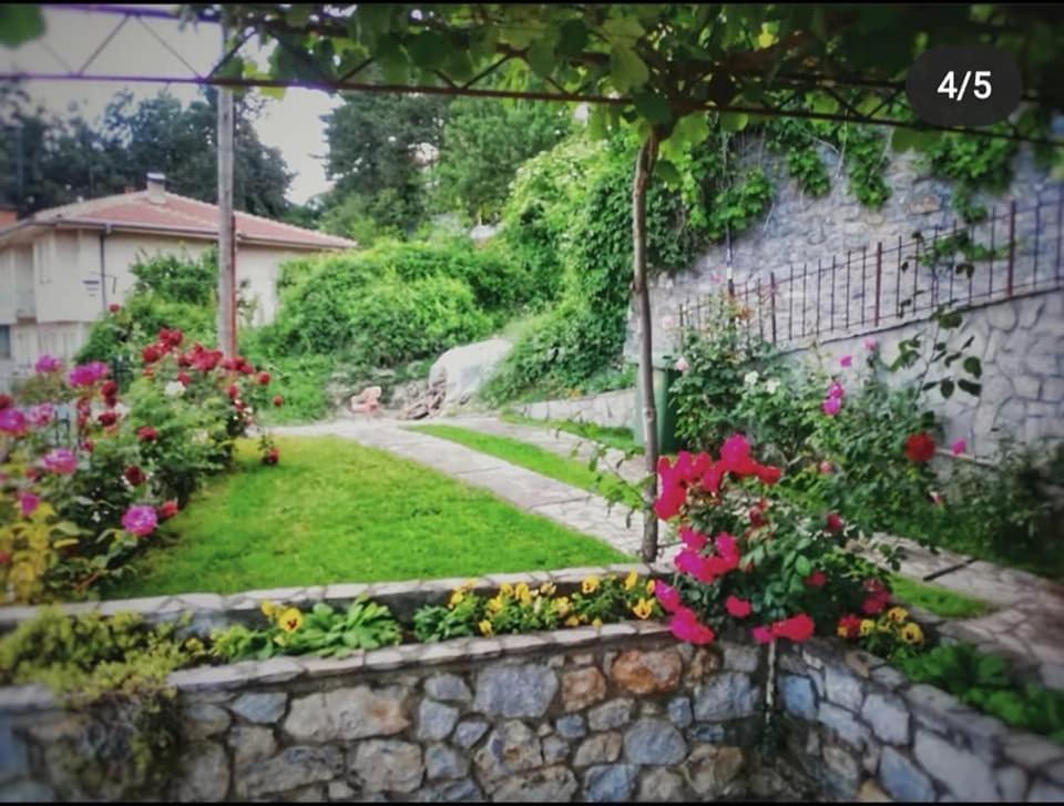 Snegar Apartments Охрид Екстериор снимка