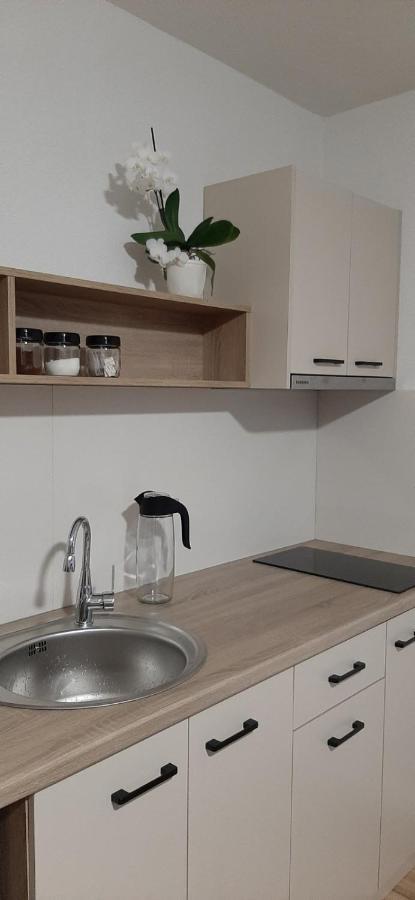 Snegar Apartments Охрид Екстериор снимка