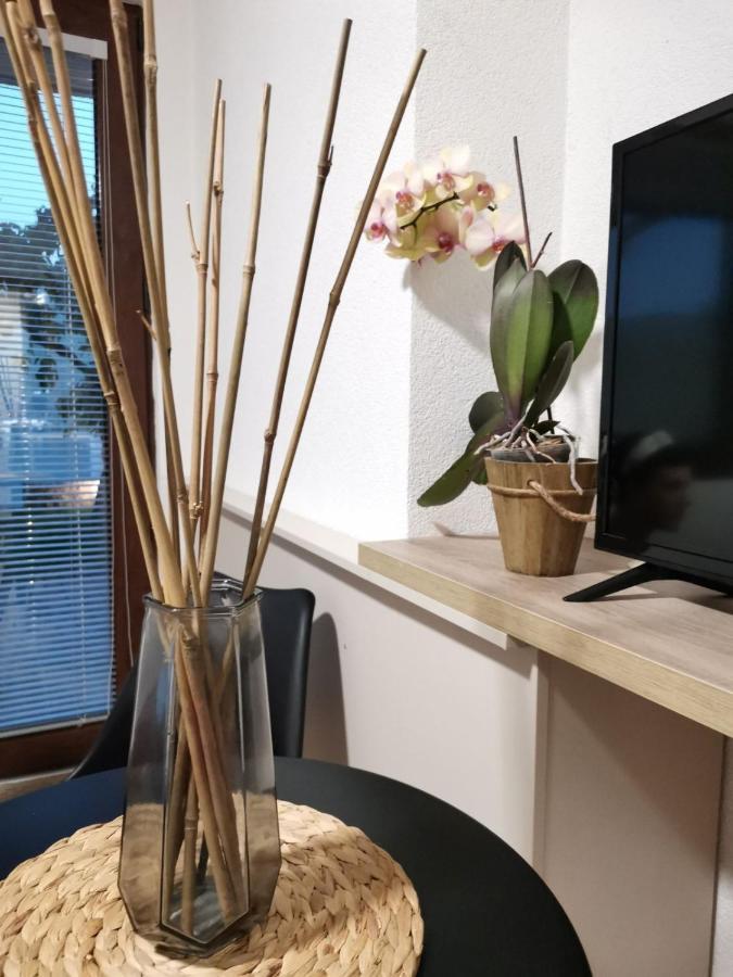 Snegar Apartments Охрид Екстериор снимка