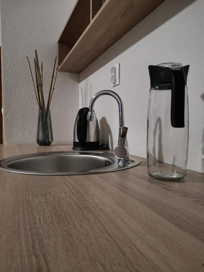 Snegar Apartments Охрид Екстериор снимка